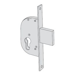 Cisa 42122 soaring mortise lock for gates