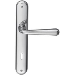 Door handle RoboDue Colombo Design CD51P on plate