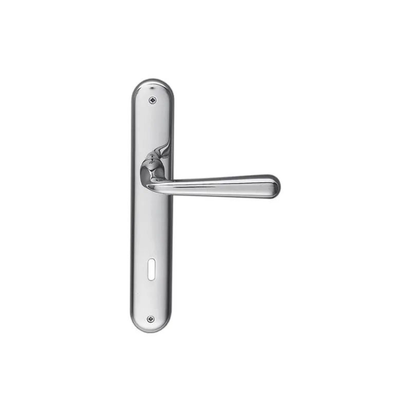 Door handle RoboDue Colombo Design CD51P on plate Door handle RoboDue Colombo Design CD51P on plate