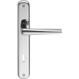 Door handle Robotre Colombo Design CD91R on plate