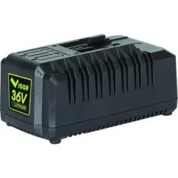 Caricabatteria Vigor VX-71152 Litio 36V