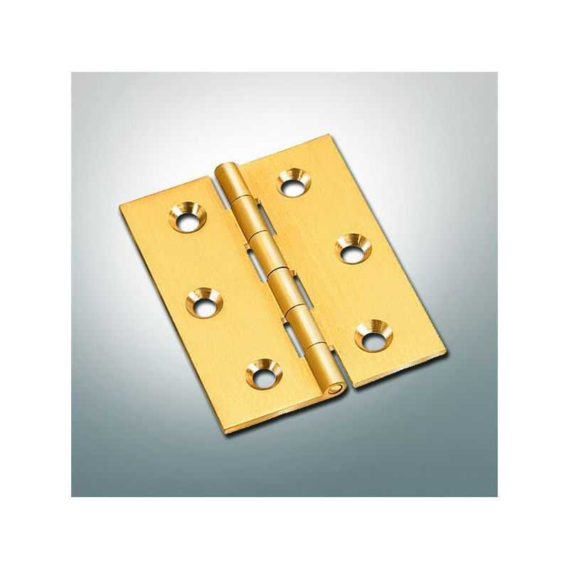 509 flat brass wood hinge