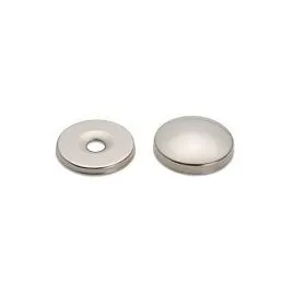 Screw cover stud