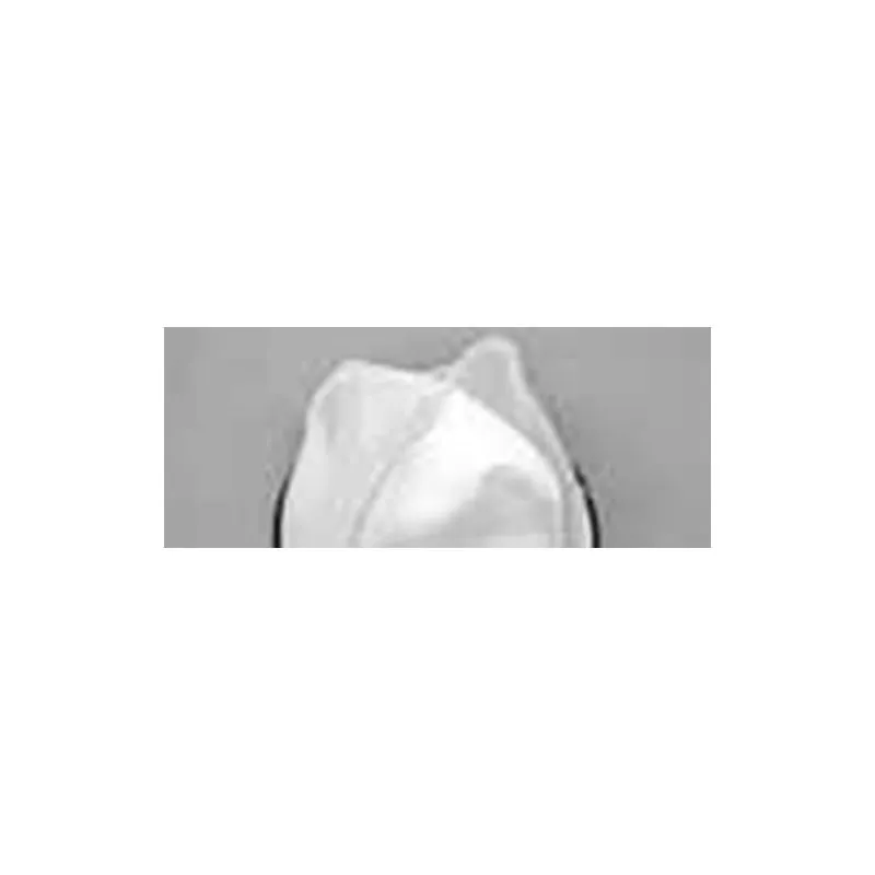 Filtro ricambio nylon per Ashley Double Filtro ricambio nylon per Ashley Double
