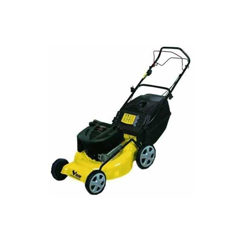 Self-propelled petrol mower WR 65318B Vigor Briggs&Stratton