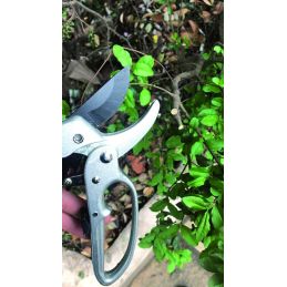 Pruning shears 69850 VIGOR Ergo - Ratchet