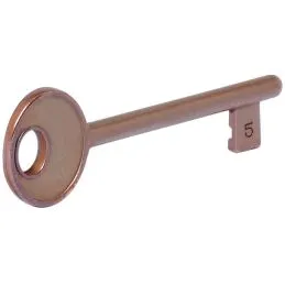 AGB Patent door lock key