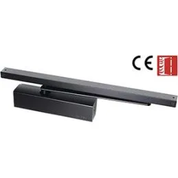 Chiudiporta Cisa C2110 tipo multiforza da alto braccio Slitta