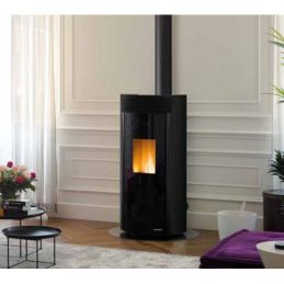 Stufa a pellet Palazzetti Ecofire Vivienne US 9 Kw 5 stelle