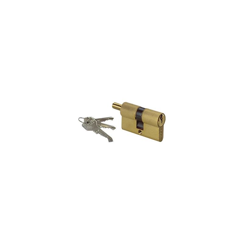 European cylinder Cisa 0G302 prepared knob