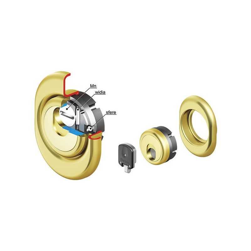 Protezione a chiave magnetica per cilindro DISEC 3G2FM-25D1