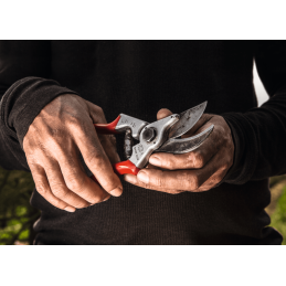 FELCO 4 pruning shears