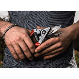 FELCO 8 pruning shears