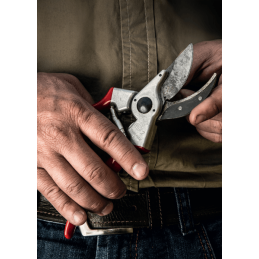 FELCO 2 pruning shears