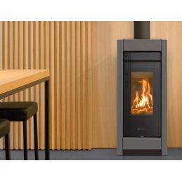 Stufa a legna Thermorossi Essenza Evo Wood Metalcolor 10,1Kw