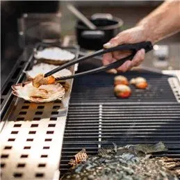 Griglia barbecue a gas ALAIN Palazzetti in acciaio INOX
