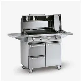 Griglia barbecue a gas ALAIN Palazzetti in acciaio INOX