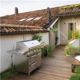 Griglia barbecue a gas ALAIN Palazzetti in acciaio INOX