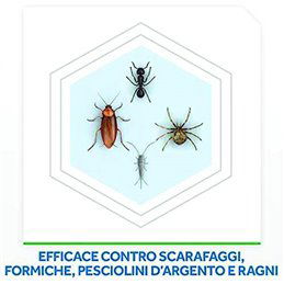Raid Max Scarafaggi e Formiche ml.300 Spray