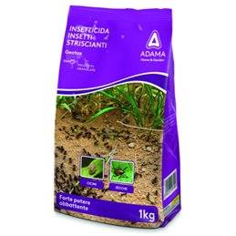 Insetticida in polvere contro blatte, formiche, cimici GEOTOX MICROGRANULO Adama 1000gr