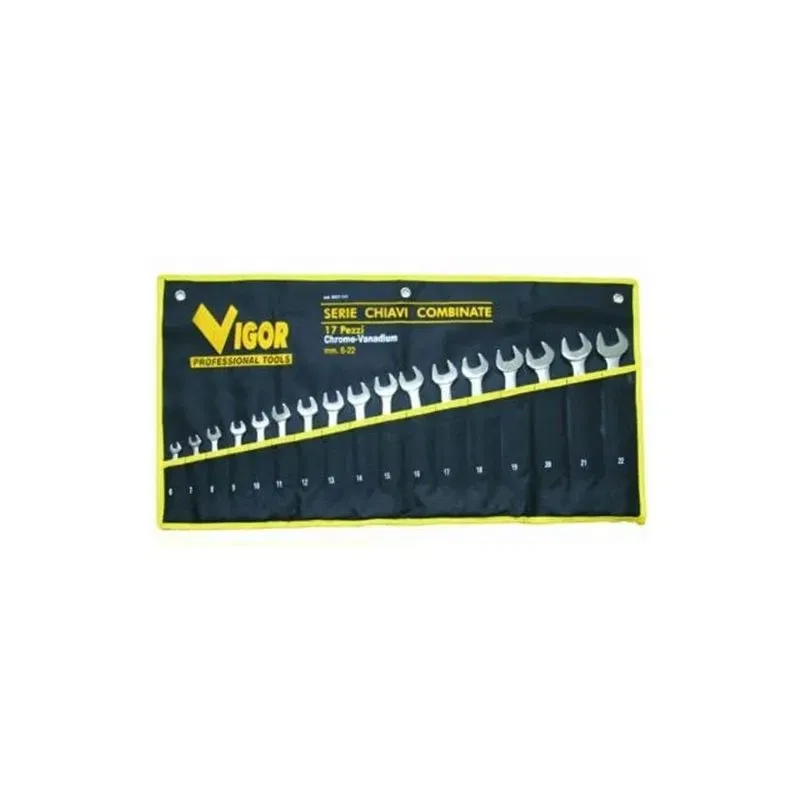 Serie Chiavi combinate DIN 3113 Vigor 17pz 6:22